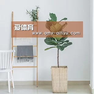 产品名称六
