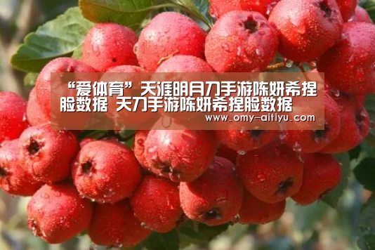 爱体育