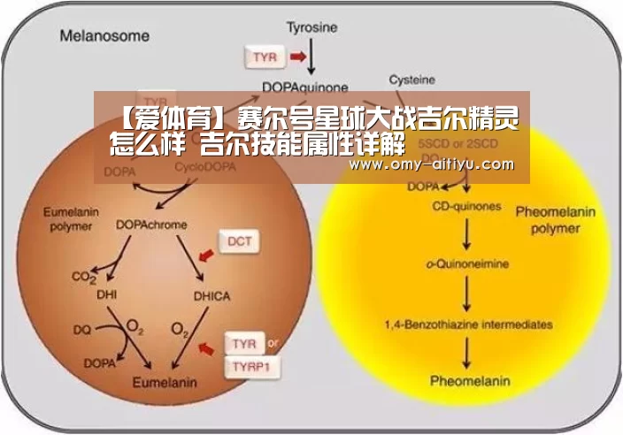 爱体育