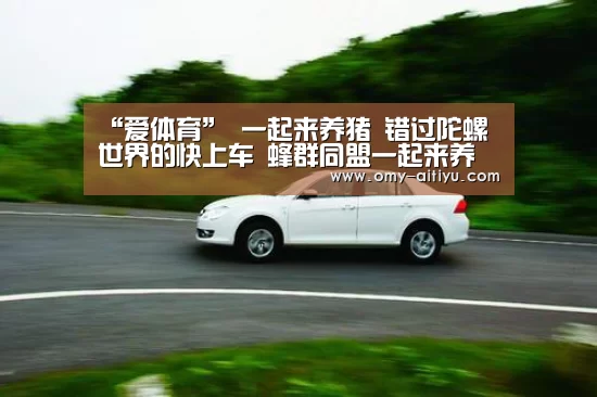 爱体育