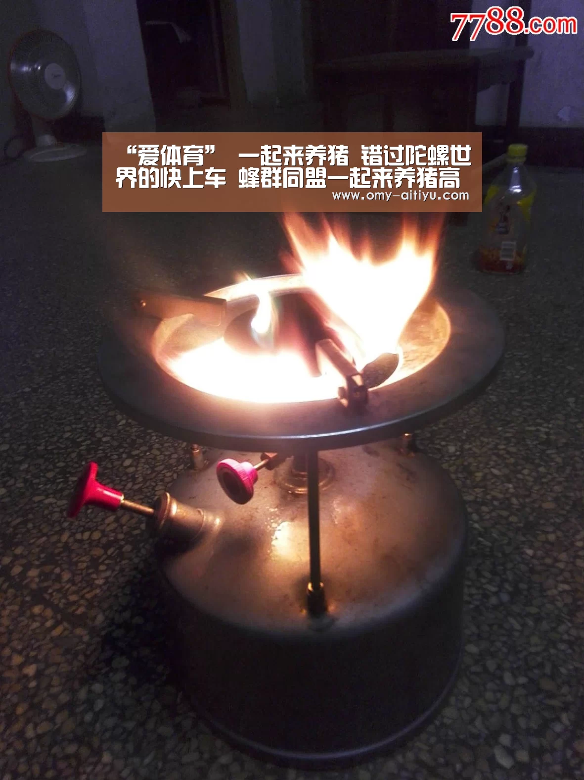 爱体育