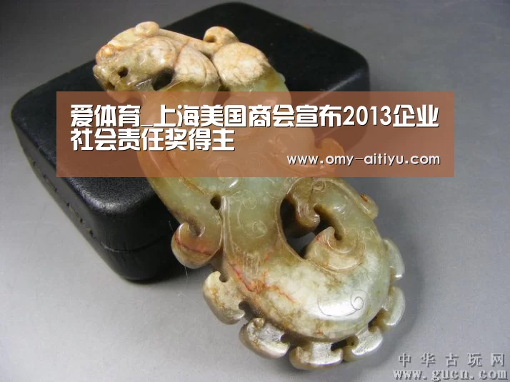爱体育_上海美国商会宣布2013企业社会责任奖得主(图4) 爱体育