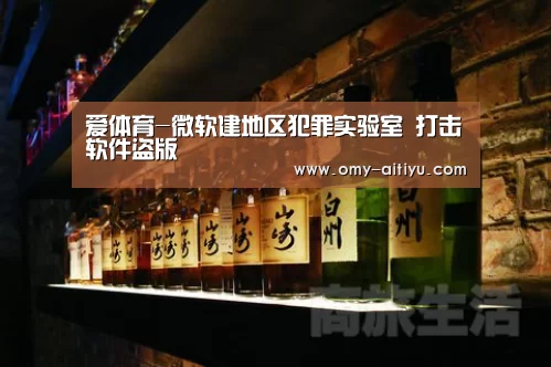爱体育-微软建地区犯罪实验室 打击软件盗版(图4) 爱体育