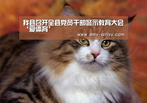 我县召开全县党员干部警示教育大会‘爱体育’(图1) 爱体育