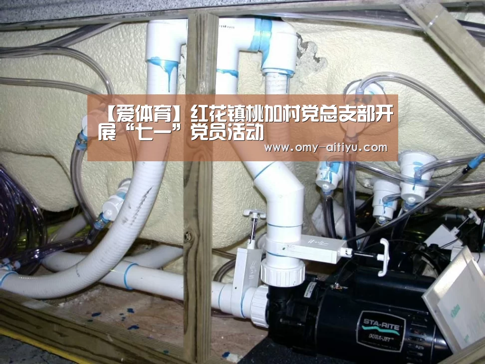 爱体育