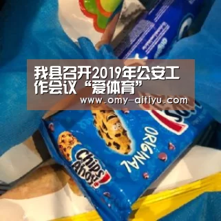 我县召开2019年公安工作会议“爱体育”(图4) 爱体育