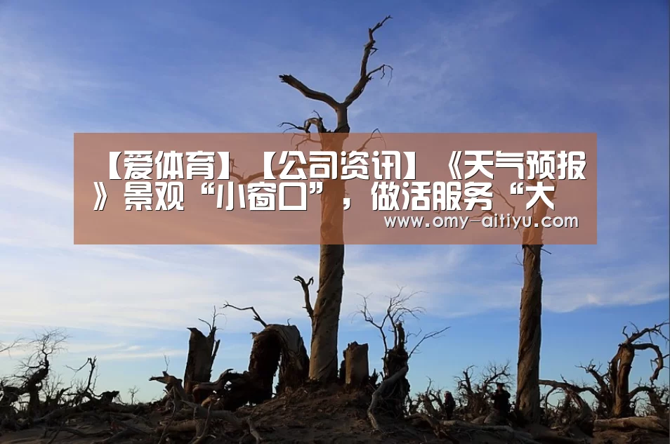 爱体育