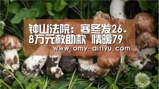 钟山法院:寒冬发26.8万元救助款 情暖79位申请执行人【爱体育】(图1) 爱体育
