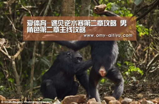 爱体育-遇见逆水寒第二章攻略 男角色第二章主线攻略(图2) 爱体育