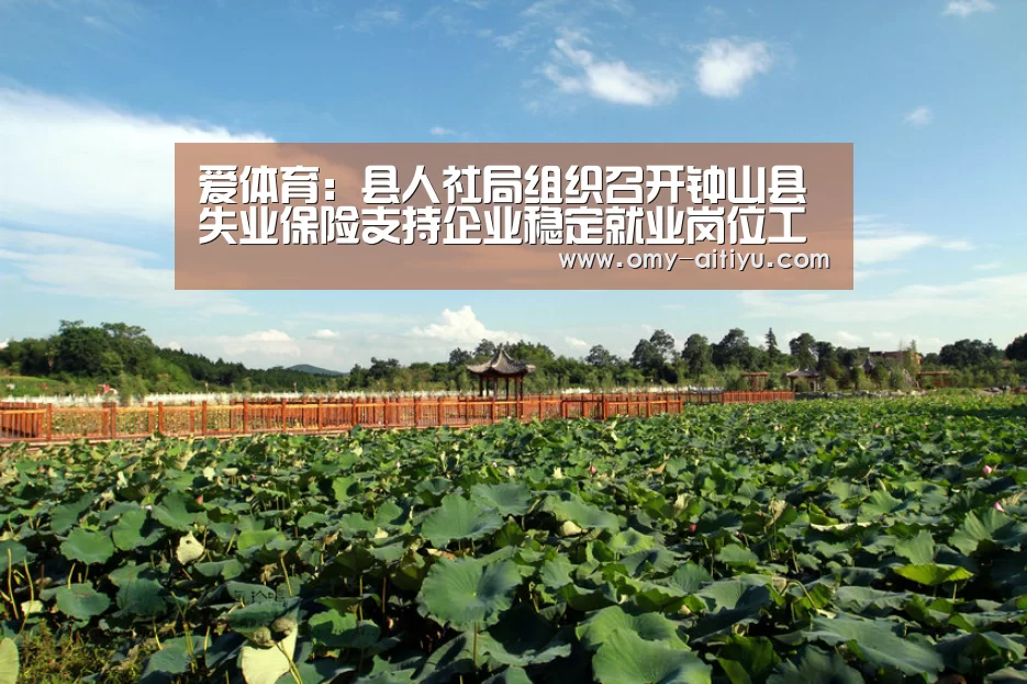 爱体育:县人社局组织召开钟山县失业保险支持企业稳定就业岗位工作布置暨业务培训会(图1) 爱体育